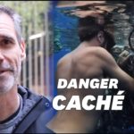 Il a nagé 500 kilomètres dans le "continent de plastique" et fait une découverte inquiétante