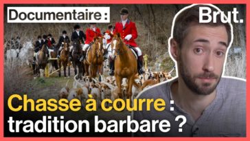 Chasse à courre : La guerre entre chasseurs et militants animalistes
