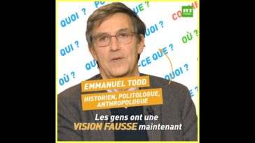 Emmanuel Todd : "La vraie démocratie représentative c'est l'action pas juste la parole"