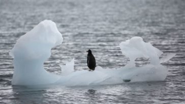 L'Antarctique enregistre la température la plus chaude jamais enregistrée : 18,3 ° C