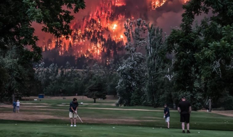 Selon 200 scientifiques de renom, les multiples éco-crises pourraient déclencher un «effondrement systémique»