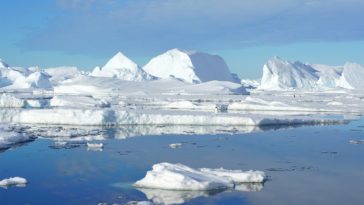 La température de l'Antarctique dépasse 20°C : du jamais vu !