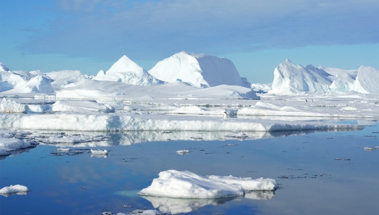 La température de l'Antarctique dépasse 20°C : du jamais vu !
