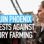 Joaquin Phoenix, alias le Joker, milite contre l'élevage intensif et pour le climat Joaquin Phoenix, alias le Joker, milite contre l'élevage intensif et pour le climat
