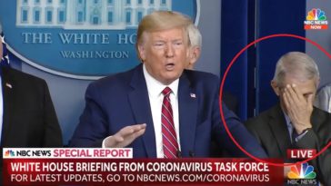 100 000 à 200 000 Américains pourraient mourir du coronavirus selon un expert proche de Donald Trump