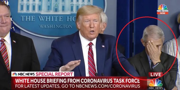 100 000 à 200 000 Américains pourraient mourir du coronavirus selon un expert proche de Donald Trump