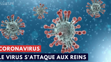 En plus des poumons, le coronavirus s'attaque aux reins