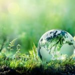 Climat. "15 % de la biodiversité, et potentiellement beaucoup plus, pourrait disparaître en 2100" (experts)