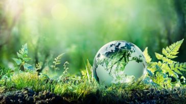 Climat. "15 % de la biodiversité, et potentiellement beaucoup plus, pourrait disparaître en 2100" (experts)