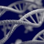 L'eau du réacteur de Fukushima pourrait endommager l'ADN humain si elle est libérée (Greenpeace)