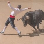 La commune de Vergèze annonce la fin des corridas sur son territoire