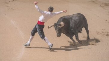 La commune de Vergèze annonce la fin des corridas sur son territoire