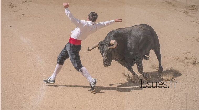 La commune de Vergèze annonce la fin des corridas sur son territoire