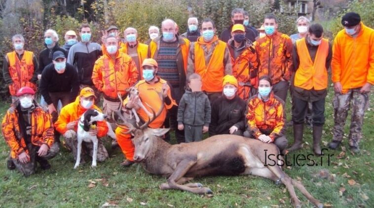 En plein confinement, les chasseurs diffusent leur dernier "trophée" et provoquent la colère des internautes