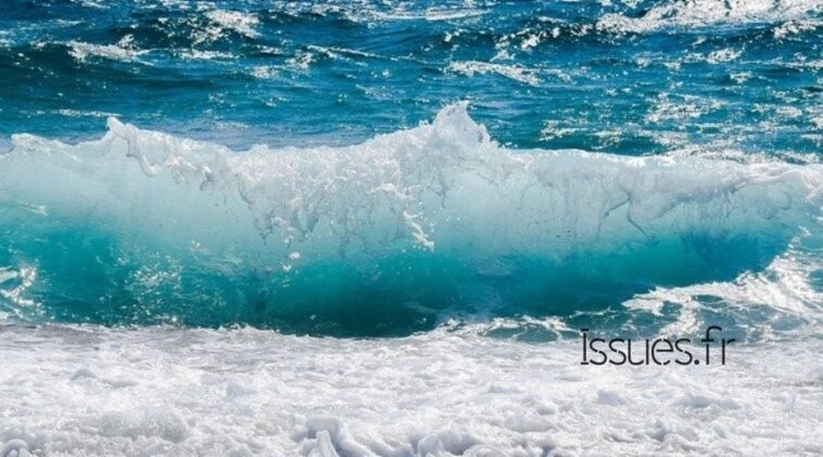 "La mer autour de nous" de Rachel Carson, un voyage vers l'invisible