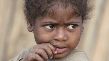 Madagascar famine