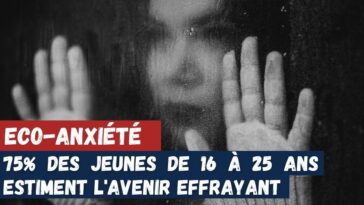 éco-anxiété jeunes solastalgie