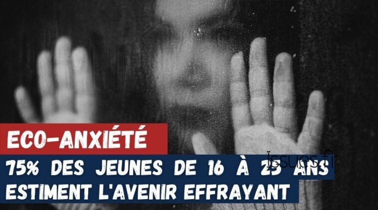 éco-anxiété jeunes solastalgie