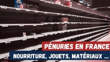 ruptures de stock pénuries france pâtes jouets blé électronique