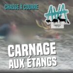chasse à courre cerf tué collectif anti chasse AVA chasseur