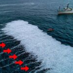 Sea Shepherd golfe de Gascogne navire-usine poissons morts