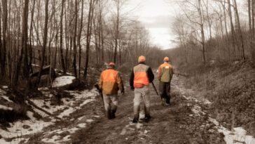 randonneuse tuée chasseuse chasse chasseur