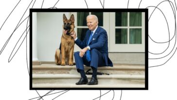 Pourquoi les amoureux des chiens continuent de harceler Joe Biden et les services secrets