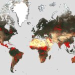 Augmentation mondiale des incendies de forêt : une analyse complète grâce à l'Atlas mondial des incendies de l'ESA Worldwide Fires ESA World Fire Atlas