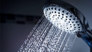 Dark Shower Head