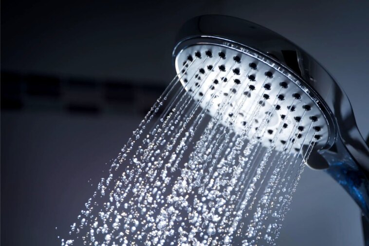 Dark Shower Head
