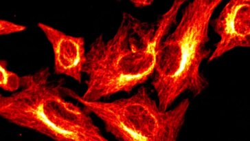 BonFIRE Powerful Imaging