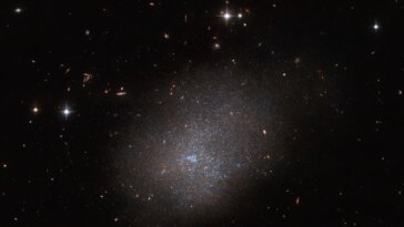 Ciel chatoyant : Hubble dévoile un voisin galactique étincelant