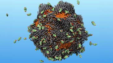 Comment les nanoparticules « Smart Rust » révolutionnent le nettoyage de l’eau