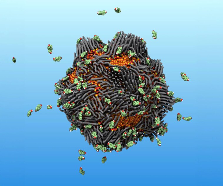 Comment les nanoparticules « Smart Rust » révolutionnent le nettoyage de l’eau Comment les nanoparticules « Smart Rust » révolutionnent le nettoyage de l’eau