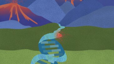 Genome Topography Influences Where Cancer Mutations Thrive