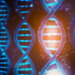 Des chercheurs capturent une vue atomique de l'ADN synthétique DNA Functions Concept