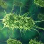 Des décennies de préparation - Un nouvel antibiotique synthétique pourrait vaincre même les bactéries les plus résistantes Infectious Bacteria Concept Art