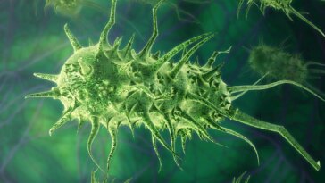 Infectious Bacteria Concept Art