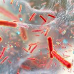 Red Bacteria Microbes