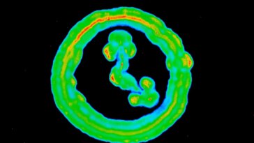 Bacterial Circadian Clocks