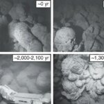 Old vs Young Kama’ehu Lava