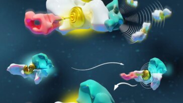Des scientifiques ont réussi à recréer et à valider mathématiquement deux langages moléculaires à l'origine de la vie