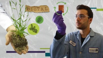 Researchers at Berkeley Lab Have Used Bacteria To Bring Biorenewability to Recyclable Plastics