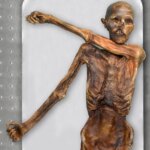 Déverrouiller l'homme des glaces : une analyse génétique avancée de « Ötzi » révèle des racines ancestrales et une apparence surprenantes