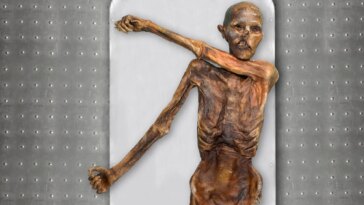 Déverrouiller l'homme des glaces : une analyse génétique avancée de « Ötzi » révèle des racines ancestrales et une apparence surprenantes