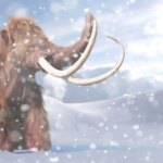 Wooly Mammoth