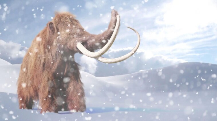 Wooly Mammoth