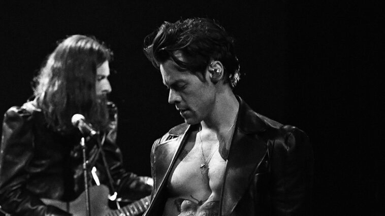 Harry Styles est une œuvre d'art - il suffit de demander à David Hockney Harry Styles est une œuvre d'art - il suffit de demander à David Hockney