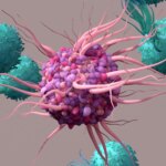 Inside Job - Des scientifiques découvrent un tueur entièrement nouveau et inattendu de cellules immunitaires dépourvues de "soi" Dendritic Cells T Cells