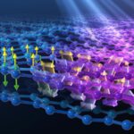 Atomic Carpet Scrambled Spins